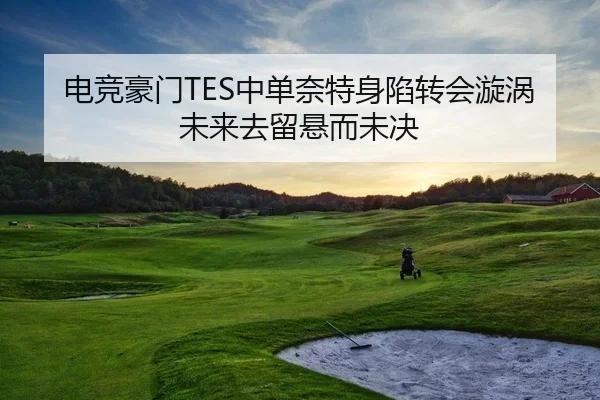 电竞豪门TES中单奈特身陷转会漩涡 未来去留悬而未决
